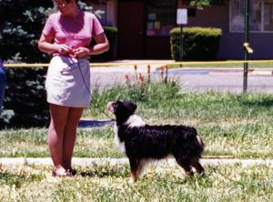 Cody showing in the NAASA Wet Dog Contest April 27, 1999          